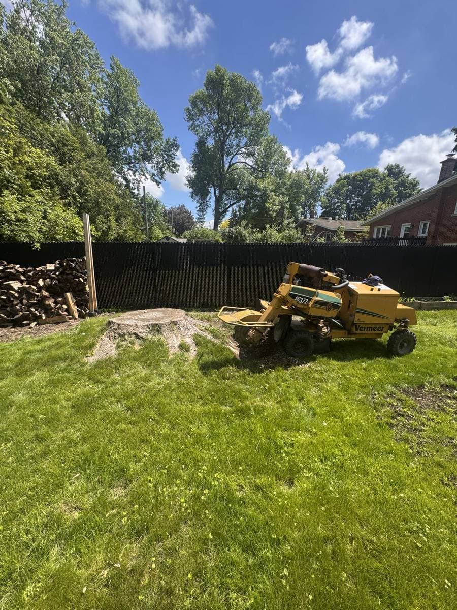 Stump grinding — Hudson